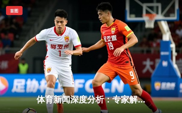 体育新闻深度分析：专家解读